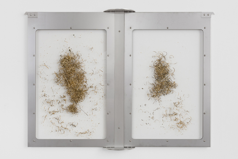 © Bildrecht, Wien, 2025; Foto: Manuel Carreon Lopez; Bildrecht © kunst-dokumentation.com 