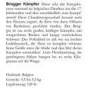 Bildbeschreibung Brügger Kämpfer