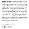 Bildbeschreibung Shamo-Kämpfer